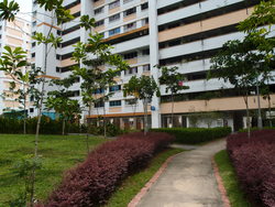 Blk 214 Petir Road (Bukit Panjang), HDB 3 Rooms #187452782